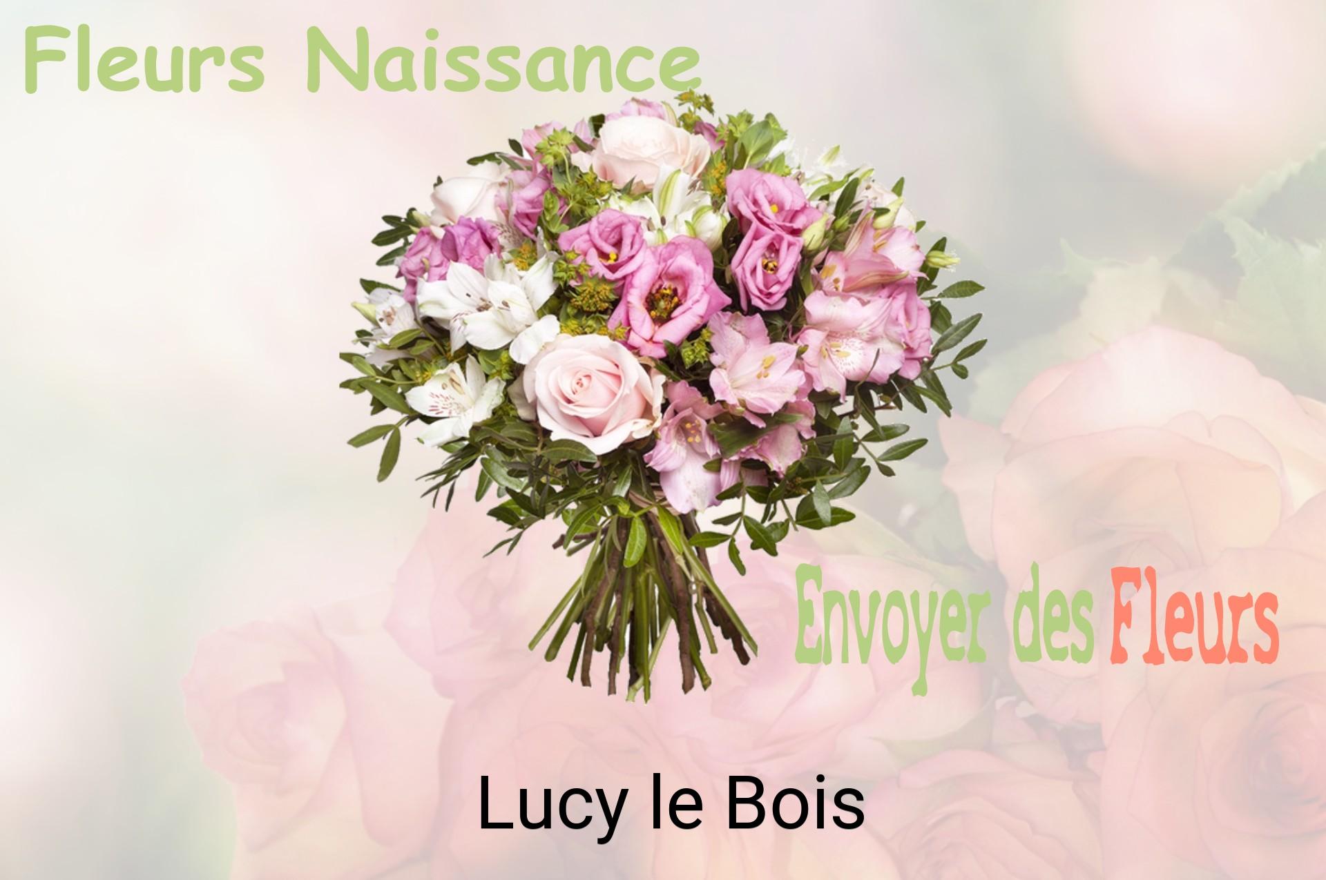 Bouquet de fleurs de naissance livré à Lucy-le-Bois