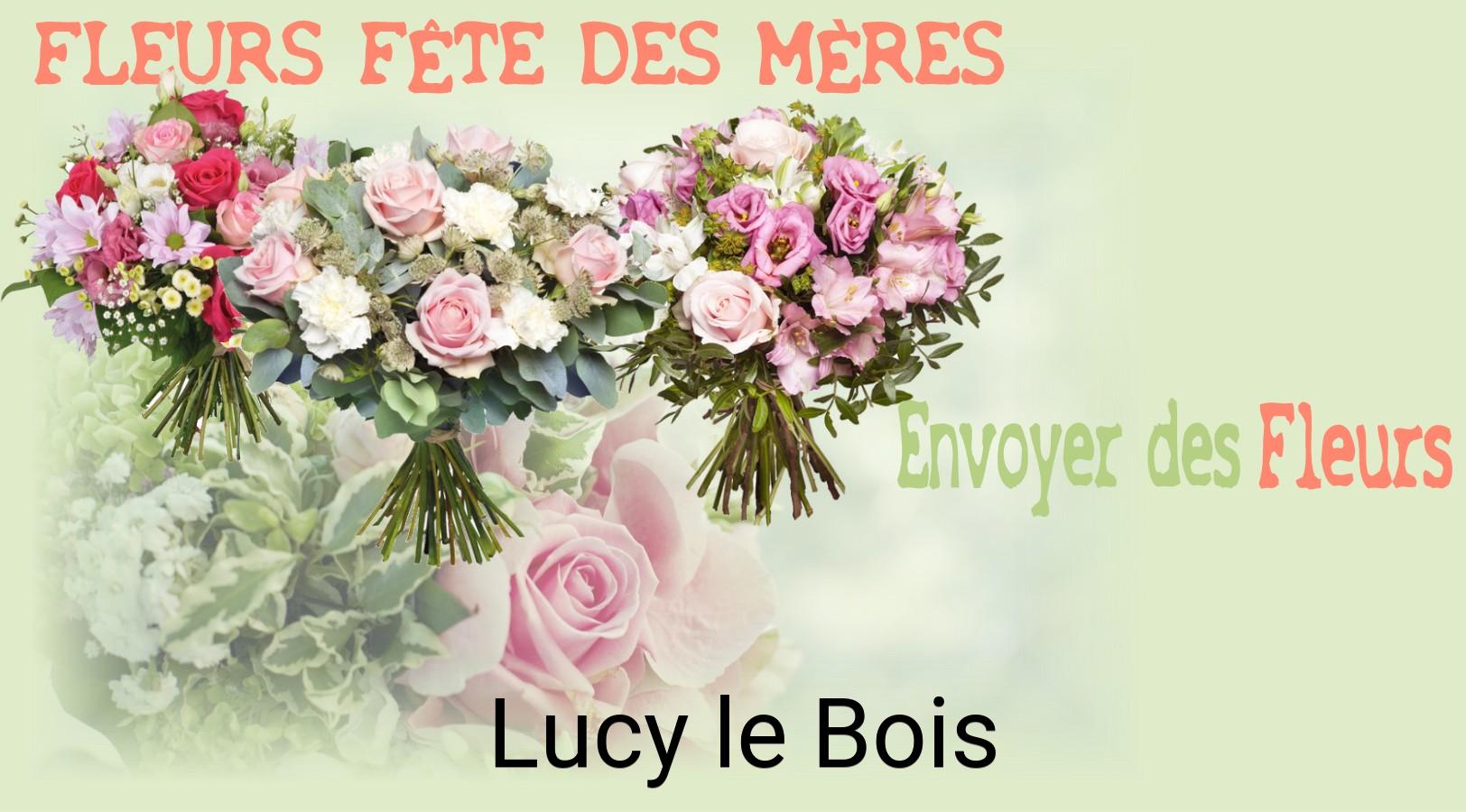 Bouquet de Fête des Mères livré à Lucy-le-Bois